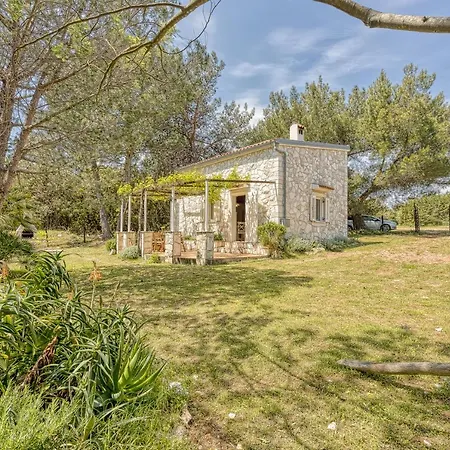 Eco House Zabodarski - Happy Holiday home