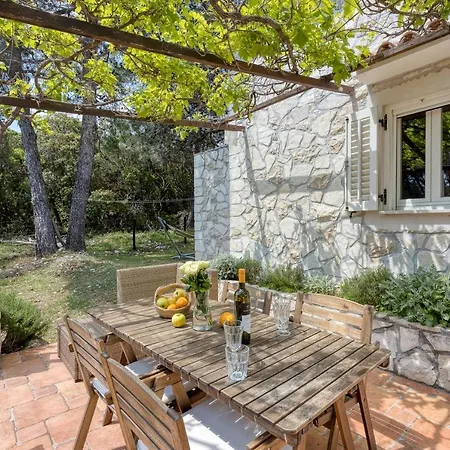 Eco House Zabodarski - Happy
